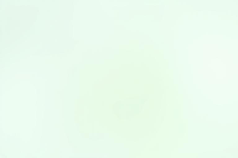 자연 담은 에센스 병